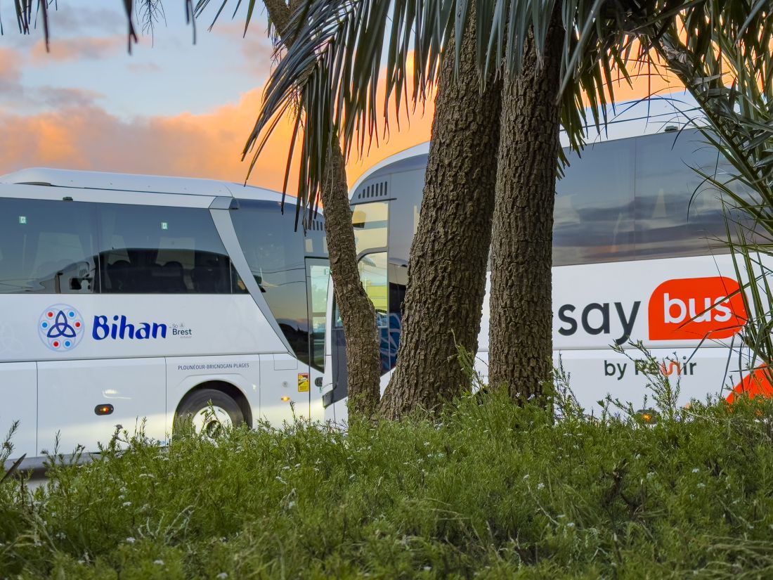 Location de car tout confort pour votre excursion et voyage touristique en groupe Location de car tout confort pour votre excursion et voyage touristique en groupe